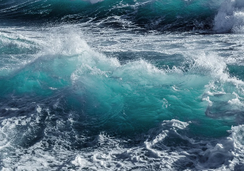 추자도-배시간표