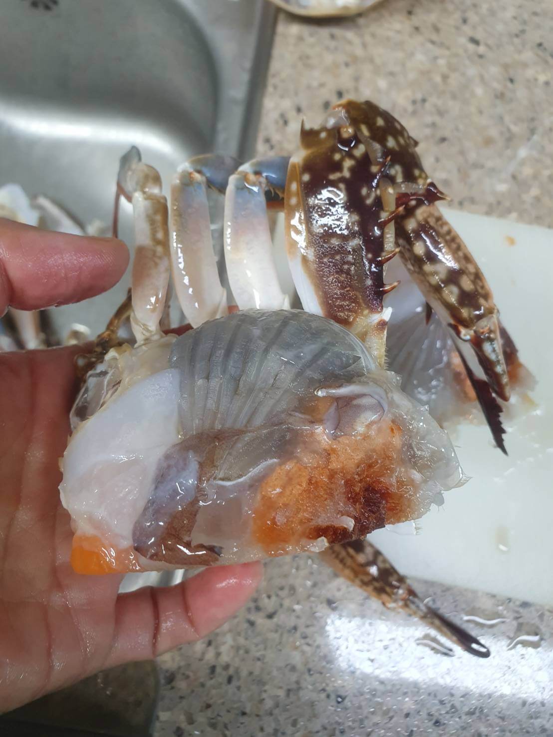 양념 꽃게 무침