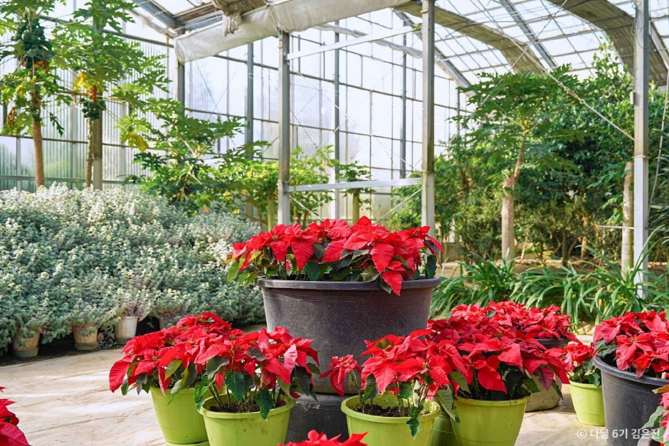 아산 가볼만한곳 베스트10