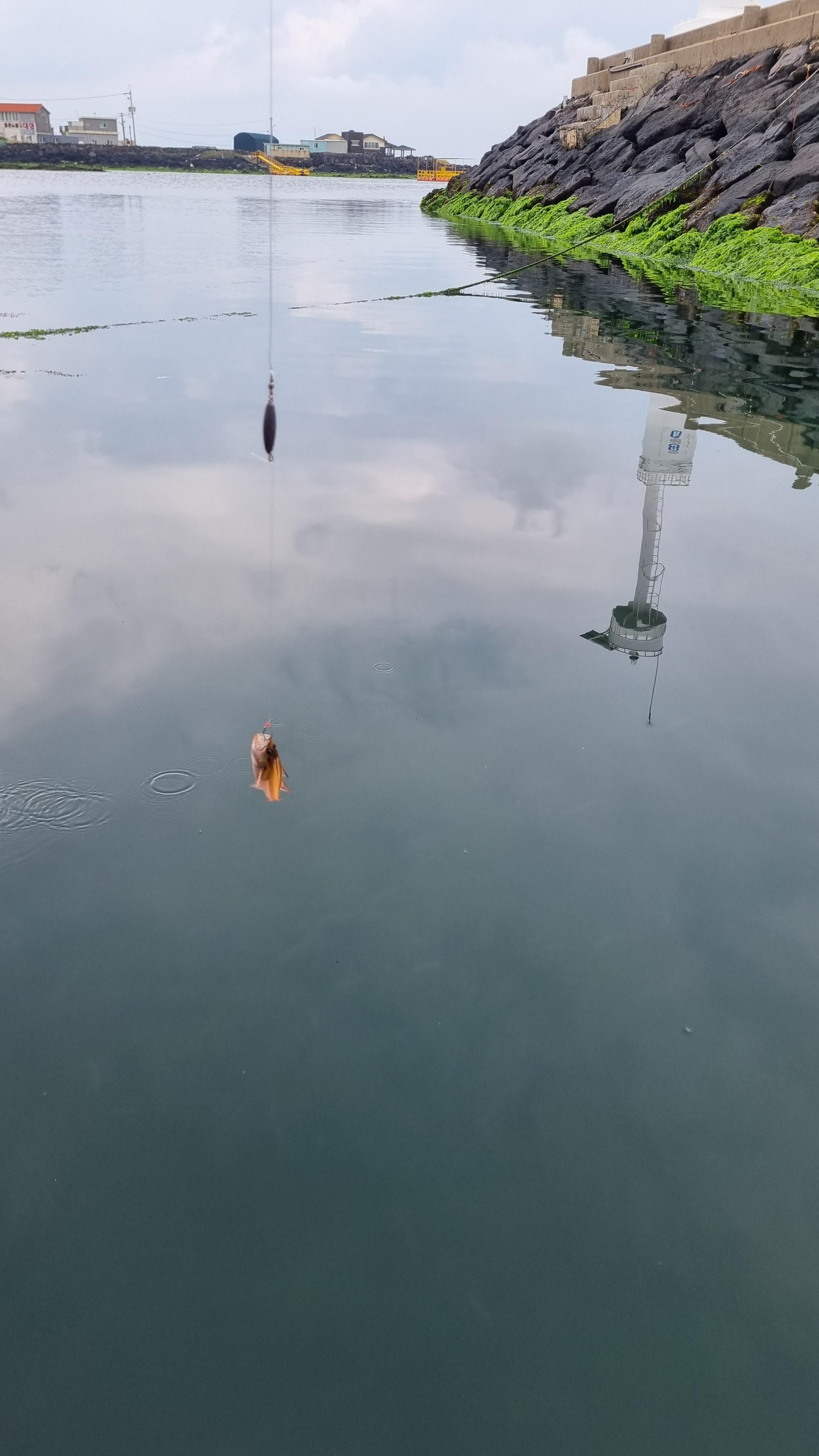 제주 어린이 낚시 체험 올레바당체험마을