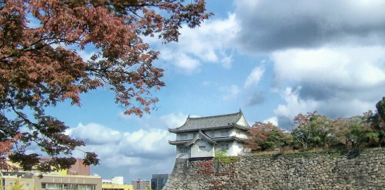 일본 오사카 입국신고서 쓰는 법, 비짓재팬 작성