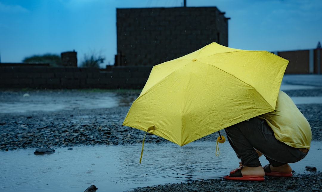 Yellow Umbrella Fund