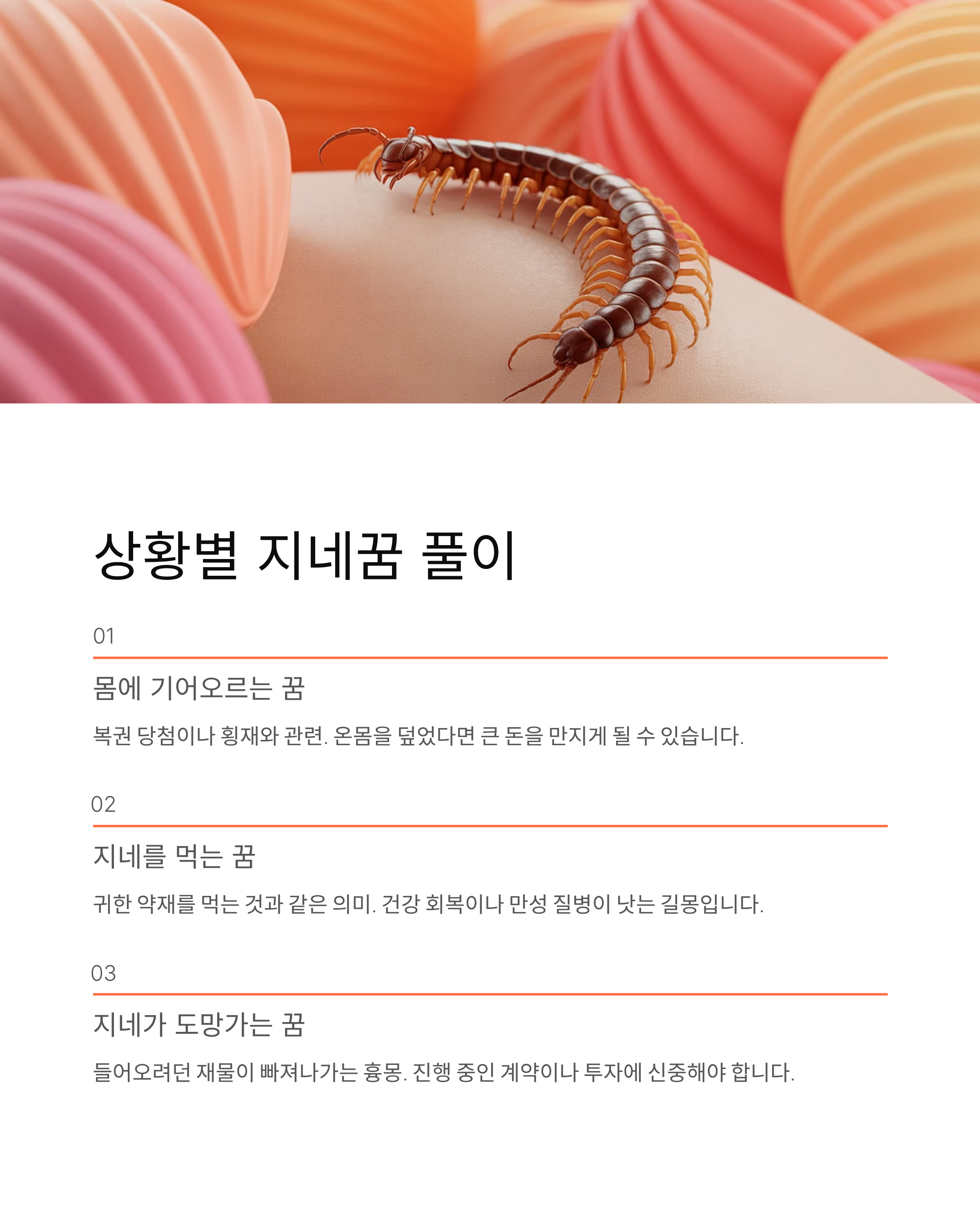 지네꿈 해몽, 죽이는 꿈, 물리는 꿈은 대박 징조? 재물복 핵심 정리!