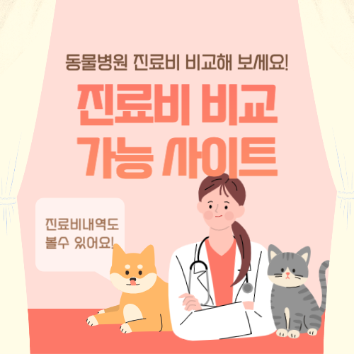 동물병원진료비 비교사이트