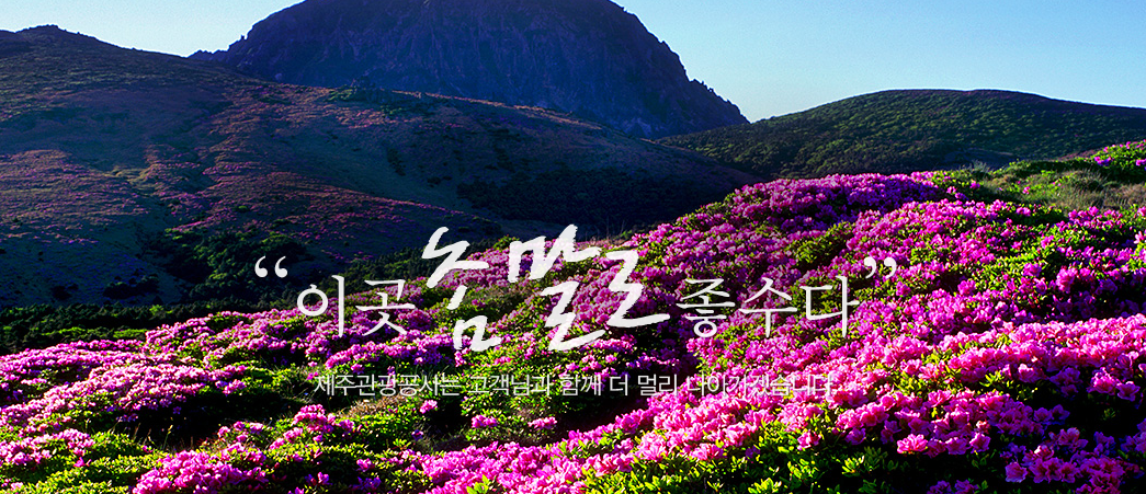 제주도 여행 할인받고 가기