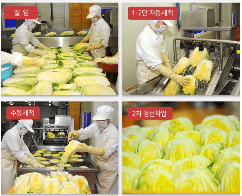 절임배추 추천 BEST 5