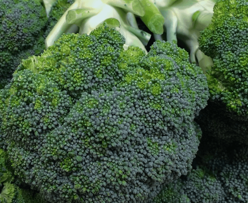 위에 좋은 음식