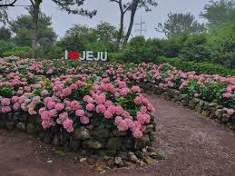 휴애리 자연휴양림 입장료 할인받는 3가지 방법