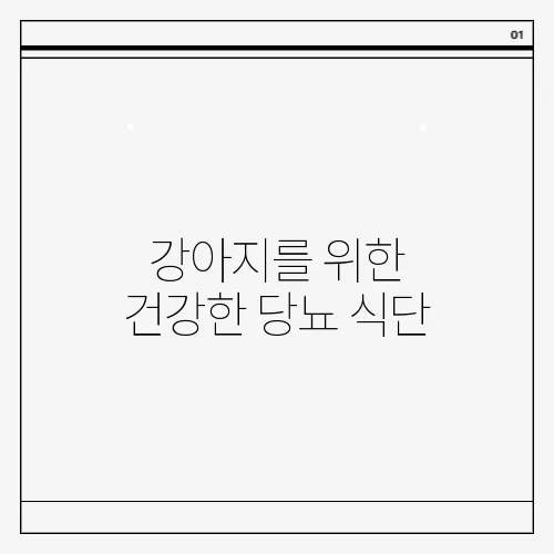강아지를 위한 건강한 당뇨 식단, 혈당 조절의 핵심입니다!