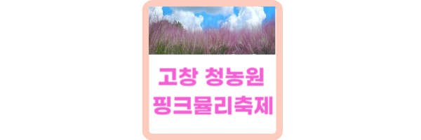 고창 핑크뮬리축제