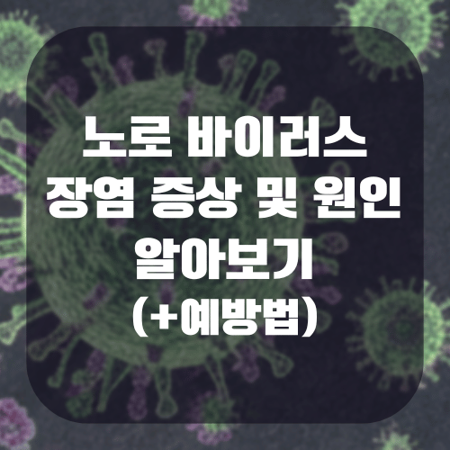 노로 바이러스 장염 증상 및 원인 알아보기(+예방법)