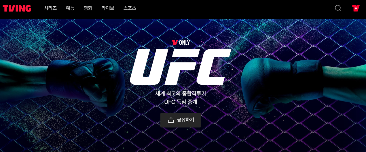 UFC 308
