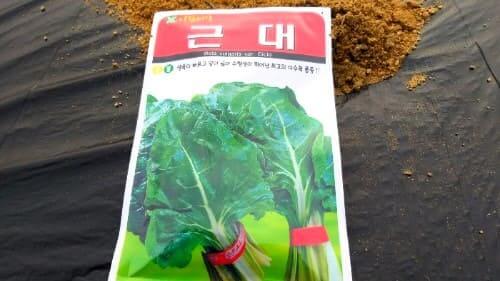 근대-재배-종자-파종시기-수확시기