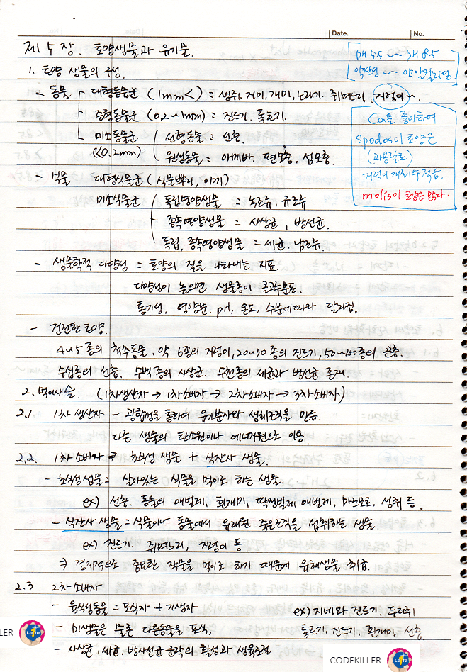 토양생물의 구성, 먹이사슬