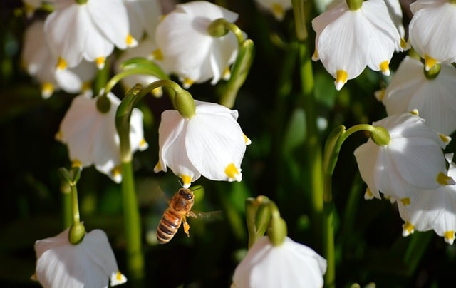 나는 솔로런 마라톤 신청