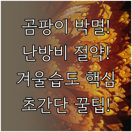 결로 곰팡이 예방부터 난방비 절약까지..
