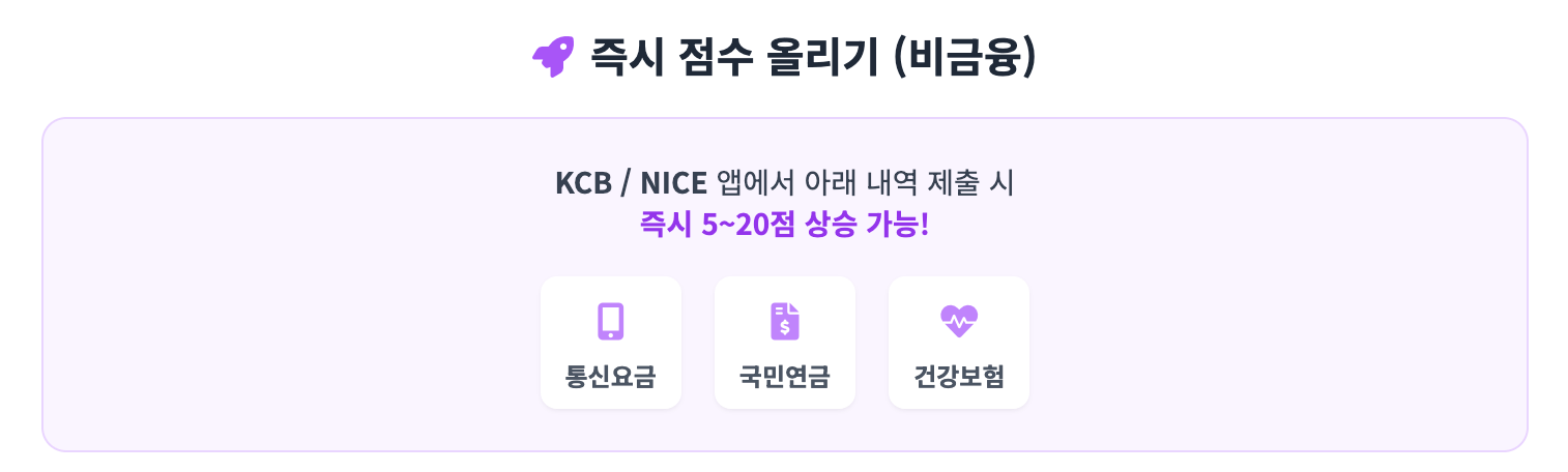 신용 즉시 점수 올리기 인포그래픽