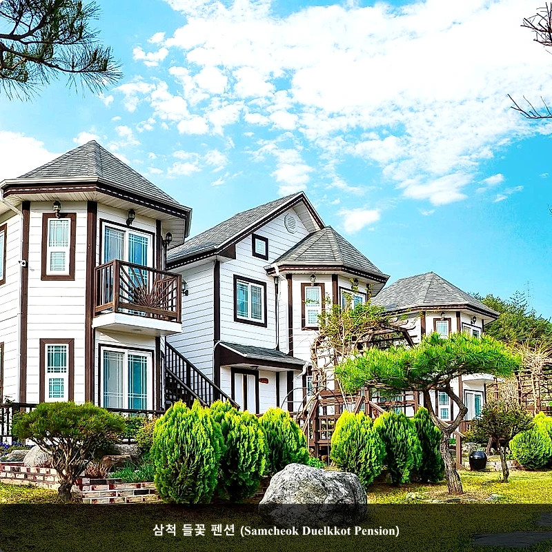 삼척 들꽃 펜션 (Samcheok Duelkkot Pension)_4