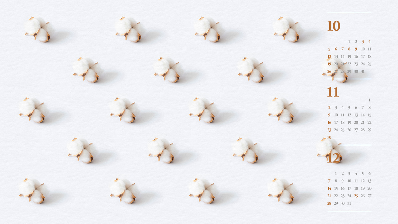 09 목화솜 B - 2025년11월 노트북배경화면