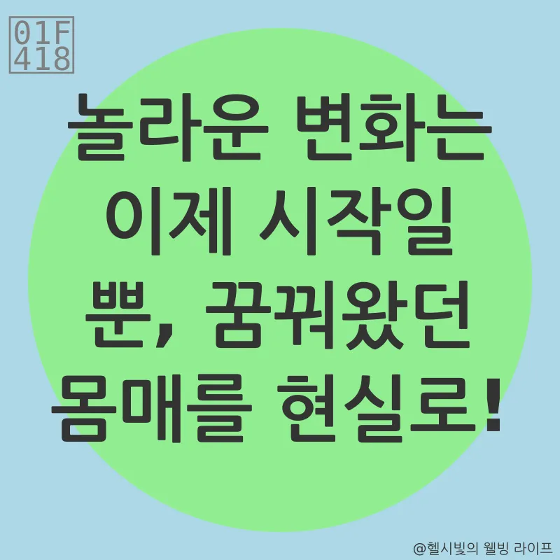 다이어트 보조제_3