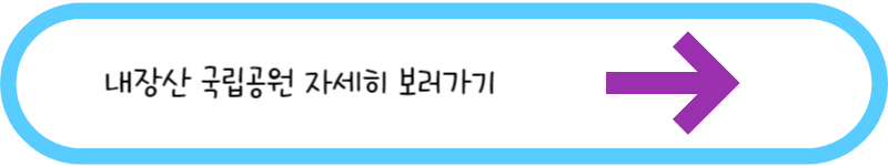 내장산 국립공원 자세히 보러가기