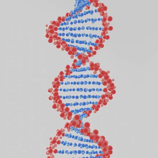 바이오 해킹: 인간 수명 연장을 위한 혁신적인 실험들이 현실이 되고 있다