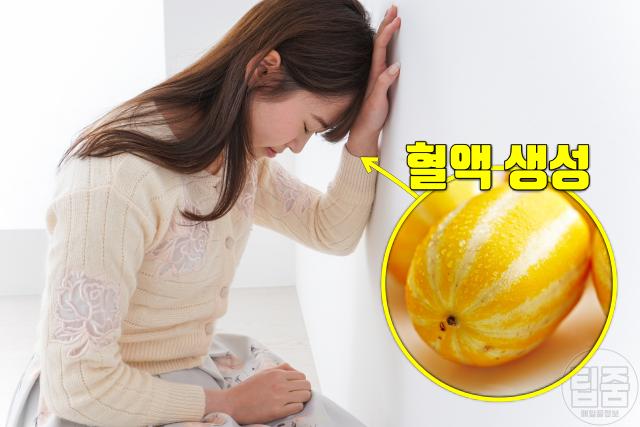 참외 빈혈 심장마비 뇌졸중