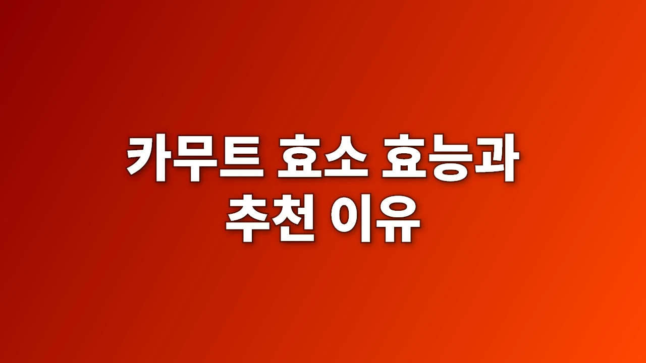 카무트 효소 효능과 추천 이유