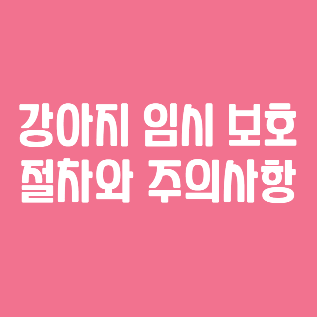 강아지 임시 보호 절차와 주의사항
