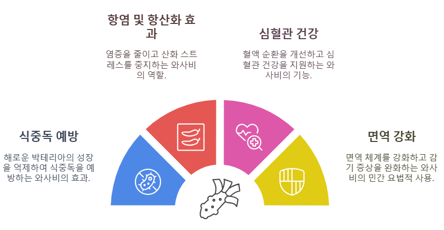 와사비 뿌리의 효능