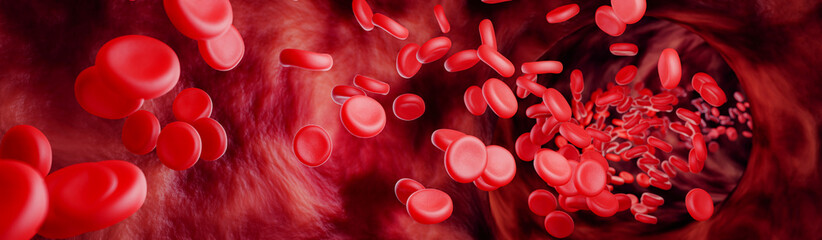 흑염소진액 효능과 흑염소진액 추천 순위 TOP 5 - 네이버, 쿠팡, G마켓, 11번가 판매 분석