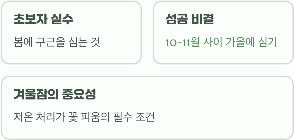 가을에 심는 봄의 약속