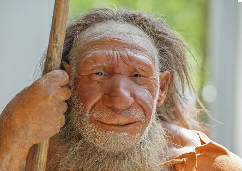 네안데르탈인과 현대 인류의 DNA 교류