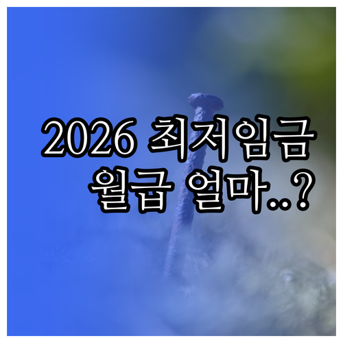 2026년 최저시급 10300원 주 ..