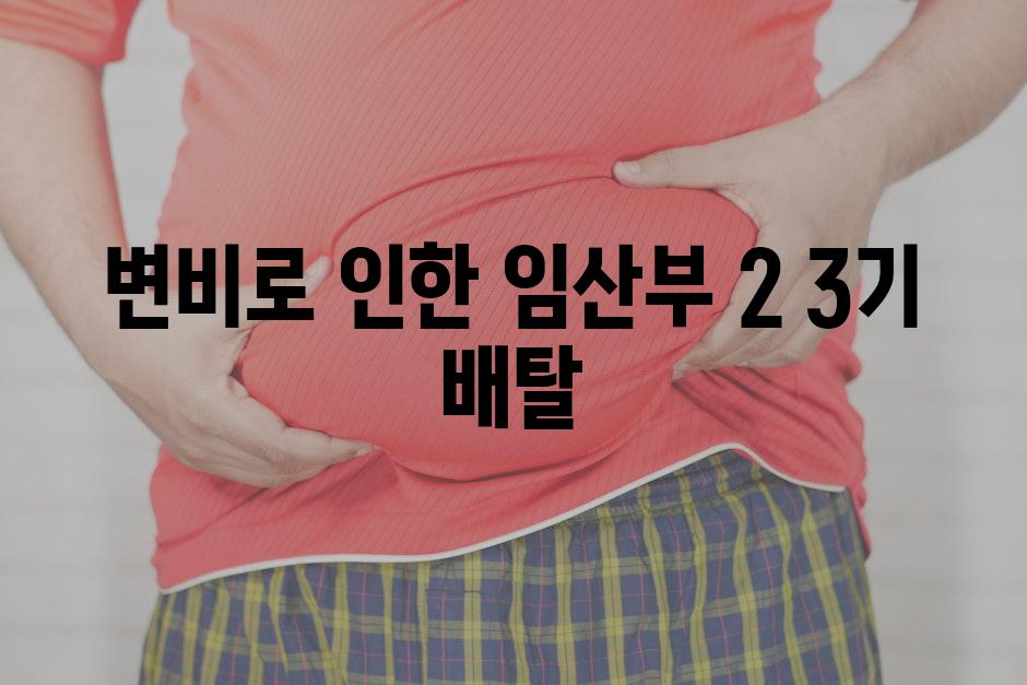 변비로 인한 임산부 2 3기 배탈