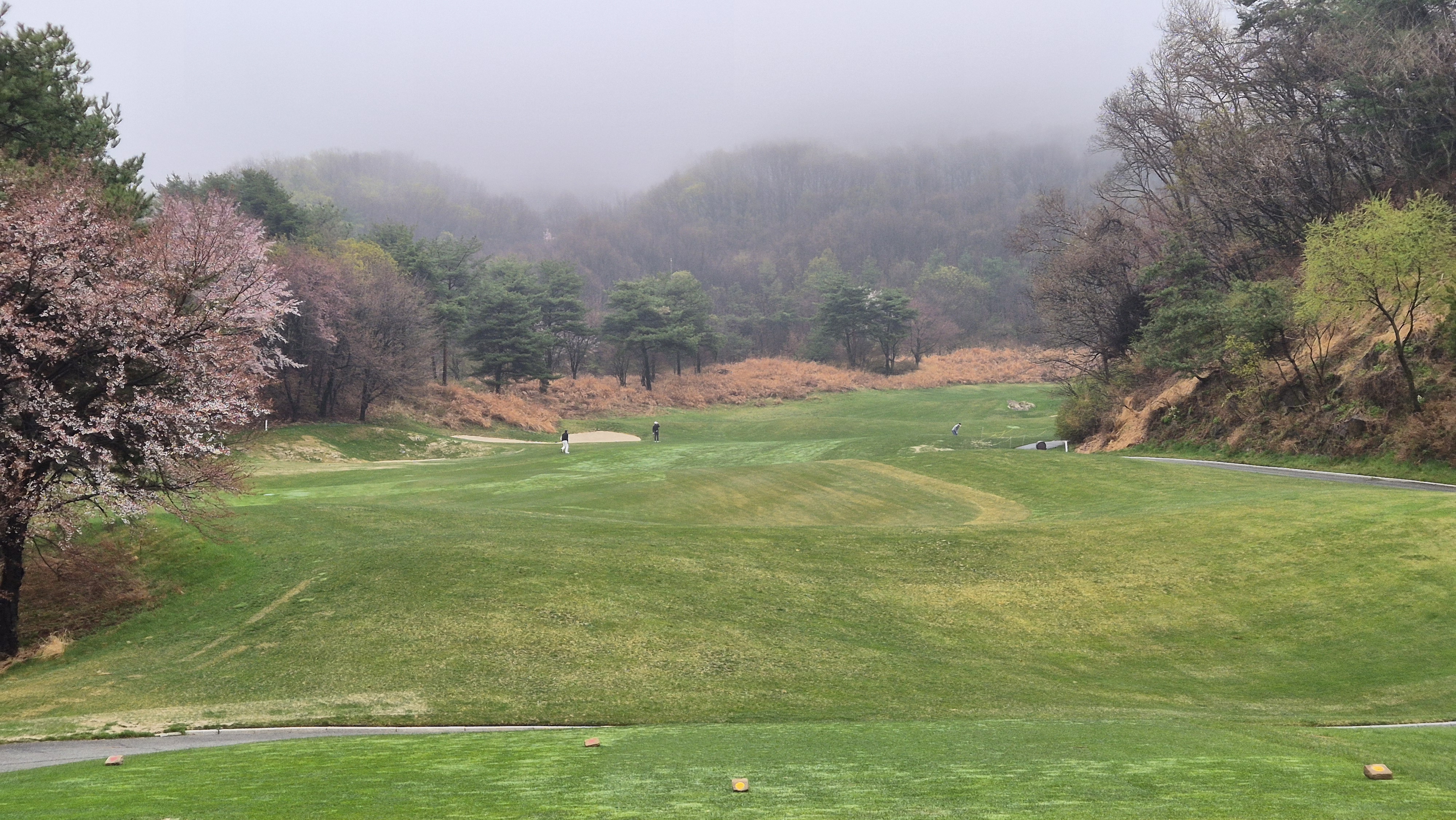 레인보우힐스cc 동-남 코스 사진 및 공략 정보