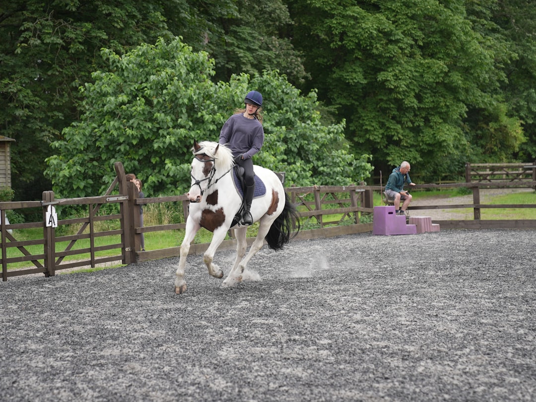 Trot