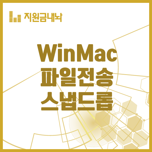 스냅드롭-파일-전송