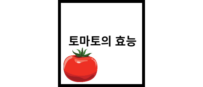 이미지-썸네일