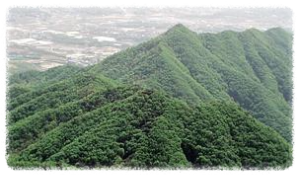 노성산