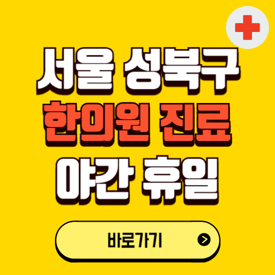 서울 성북구 야간 휴일 한의원 한방병원 찾기 ❘ 24시 일요일 주말 연휴 응급진료 추천 잘하는 곳