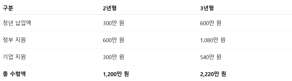 청년내일채움공제 vs 취업지원금