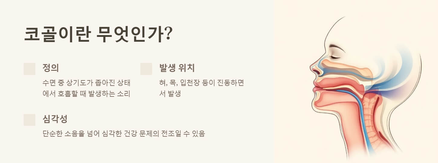코골이 원인 예방법