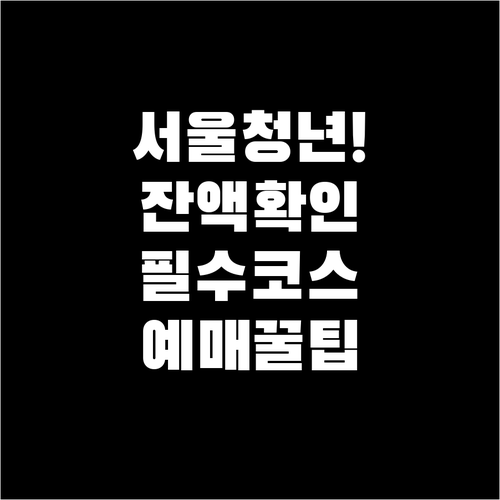 서울청년문화패스 잔액 확인 방법과 전..