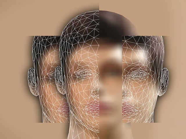 일루전(Illusion) 이란