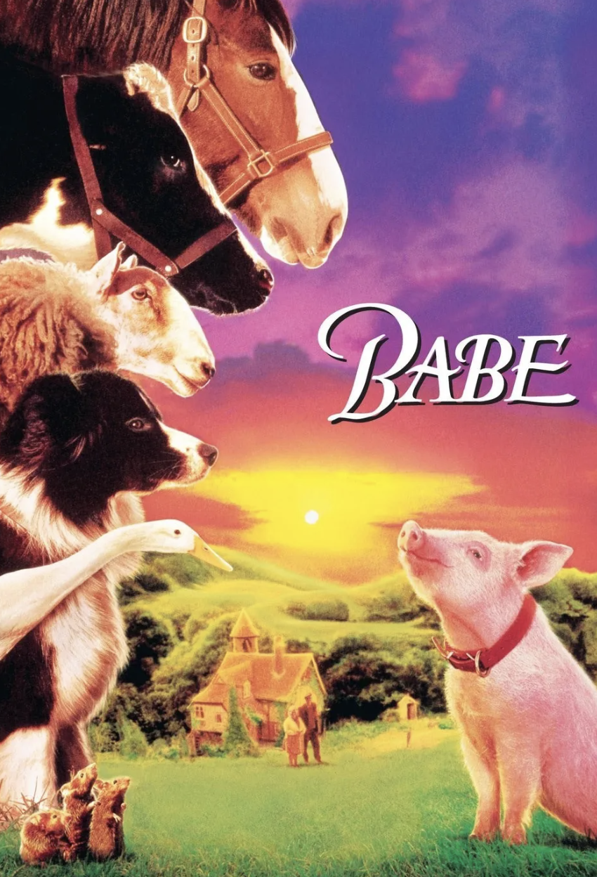 꼬마돼지 베이브(Babe)