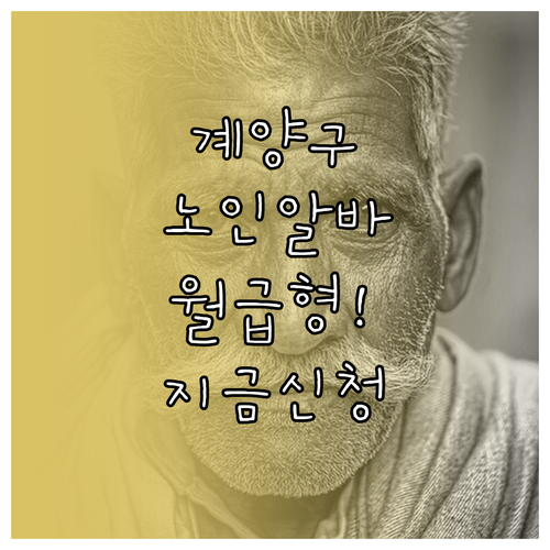 인천 계양구 시니어클럽 노인일자리 종..