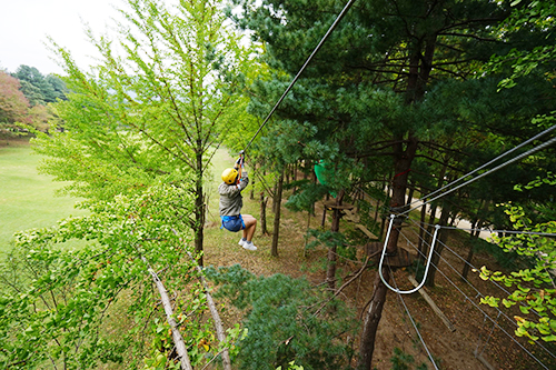 남이섬4
