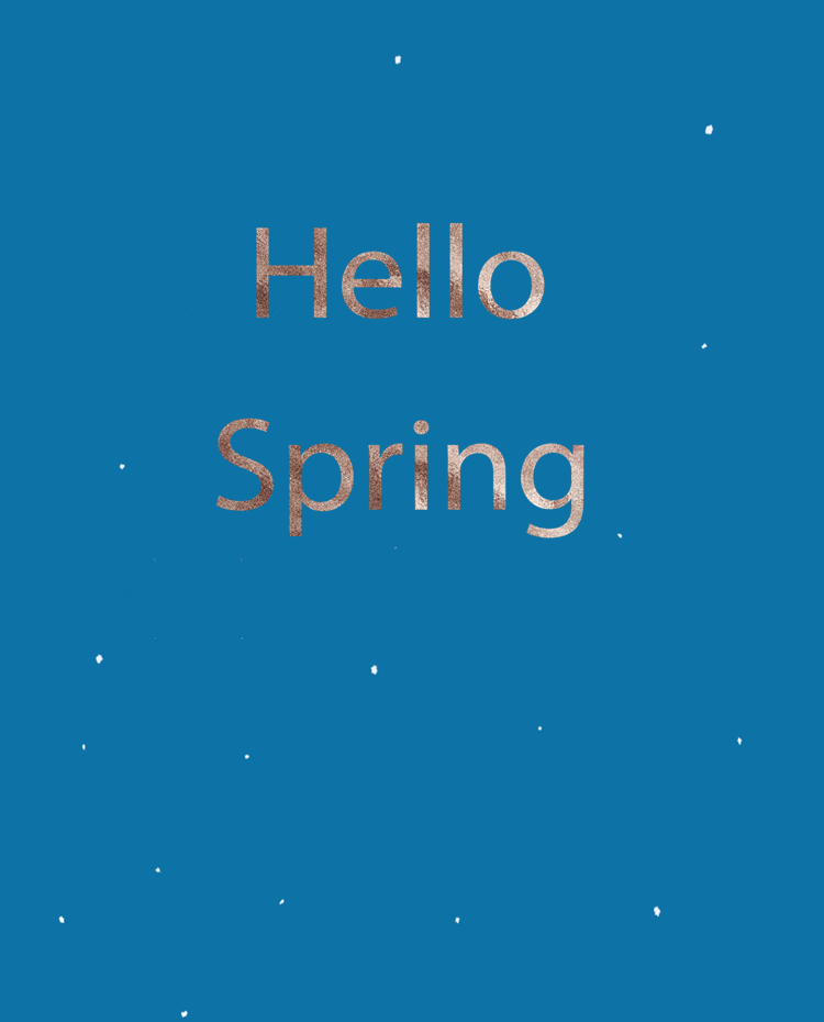 뉴질랜드 수도와 도시