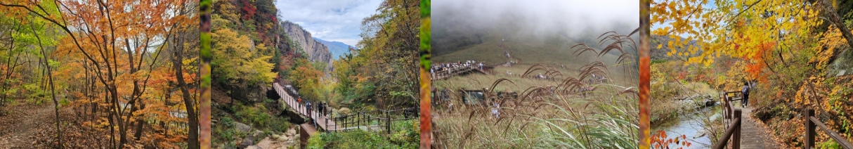 케이제이산악회 회원이라면 꼭 읽어야 할 2025 등산 팁 TOP5